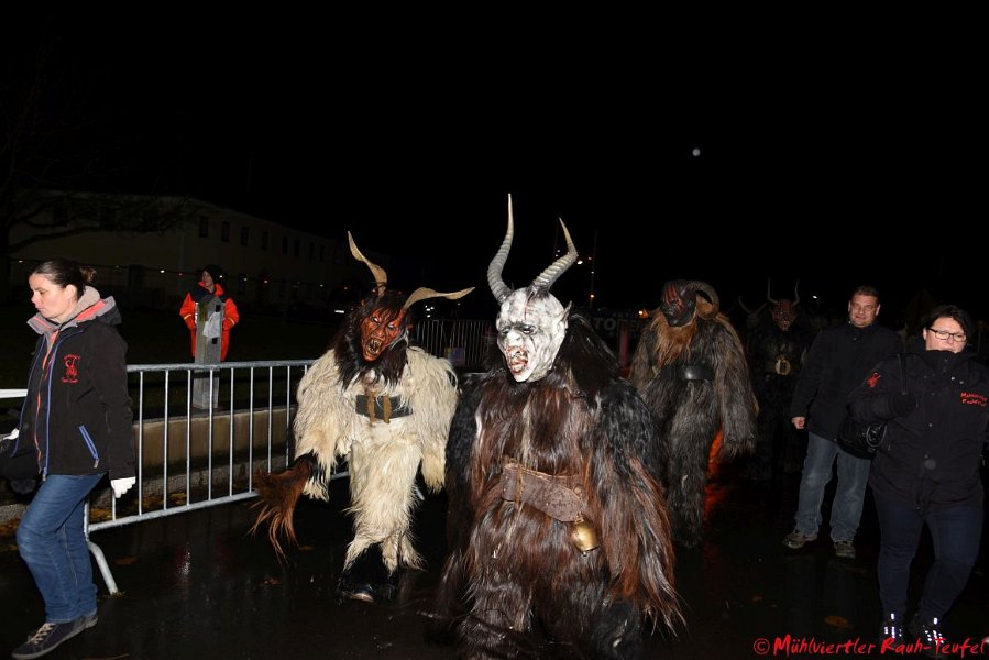 Pesenbach_29.11 (29)